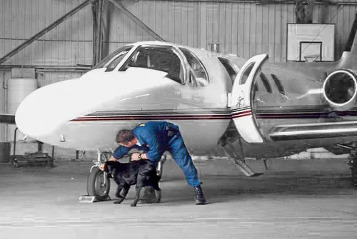 Handler and detection dog searching beside a private jet