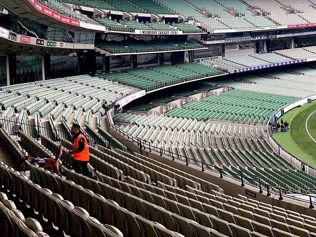 Handler with a detection dog in empty stadium seating