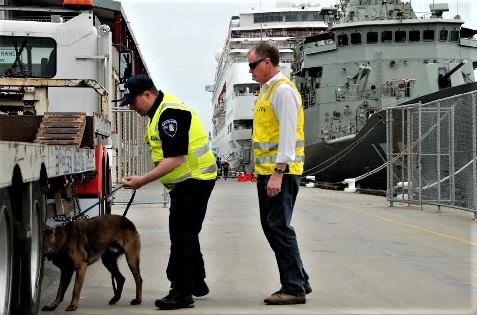 Detector dog handler and detection dog screening a truck at a wharf