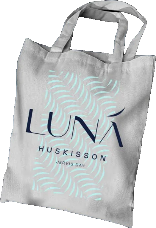 Luna campaign piece