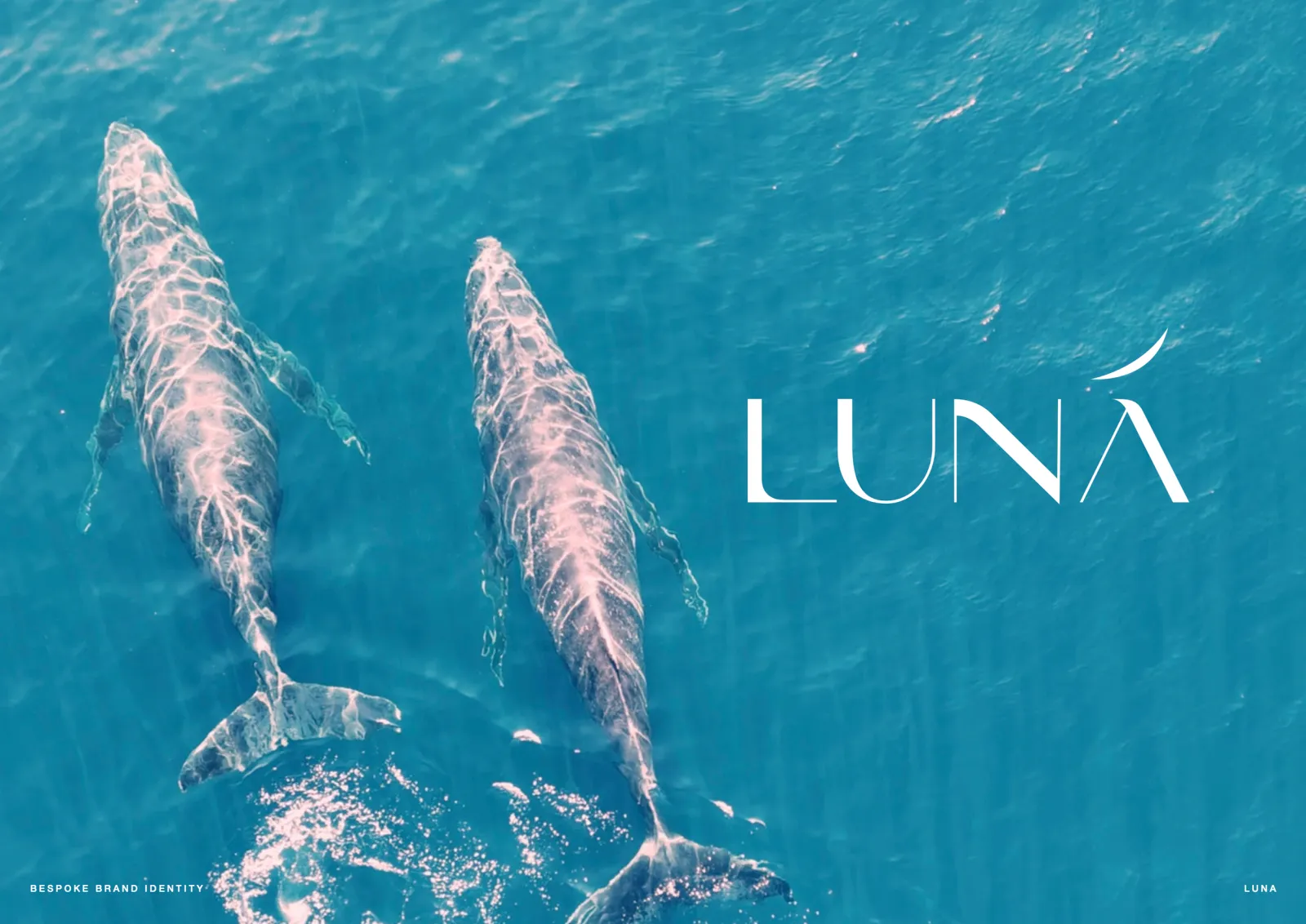 Luna — Huskisson
